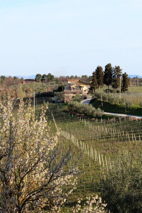 Bencini Family Villa Montefiridolfi Dış mekan fotoğraf